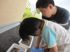 sb2014.7.16 3.jpg